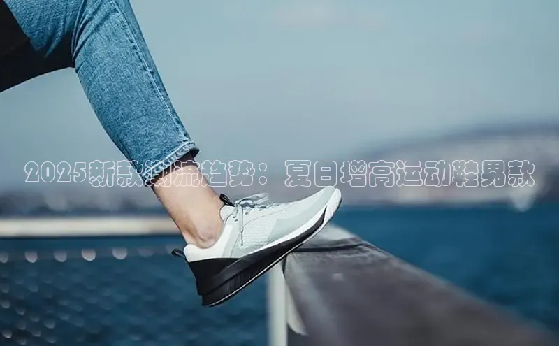 熊猫体育在线直播app